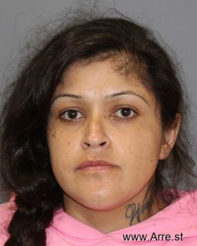 Teresa  Sanchez-avelar Mugshot