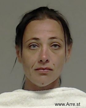 Tina Marie Johnson Mugshot