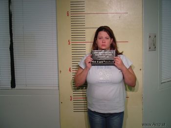 Tina Lynn Shafer Mugshot