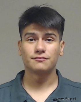 Troy Christian Martinez Mugshot