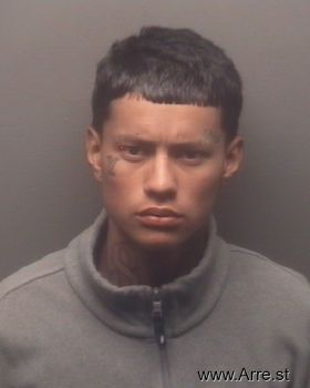 Valentin  Leos Mugshot