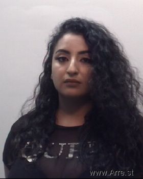 Veronica Iliana Gutierrez Mugshot