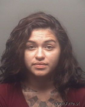 Virginia Rose Garcia Mugshot