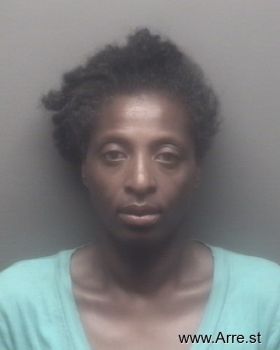 Virginia Ann Mitchell Mugshot