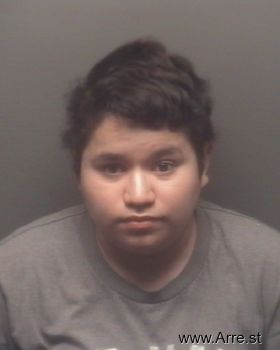 Yesenia  Hernandez Mugshot