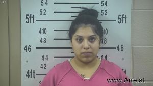 Alondra Alejandro Arrest Mugshot