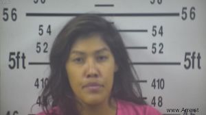 Ashley Castillo-nguyen Arrest Mugshot