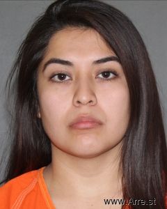 Ailyn Garica Arrest Mugshot