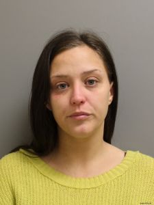 Amanda Schneider Arrest Mugshot