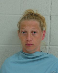 Amanda Wilkins Arrest Mugshot