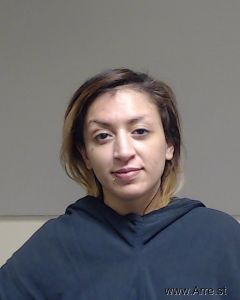 Angelica Silva Arrest Mugshot