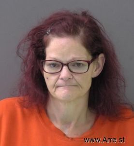 Anita Santiago Arrest Mugshot