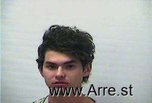 Ariel Robins Arrest