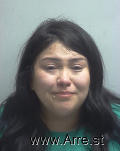 Arielle Solis Arrest Mugshot