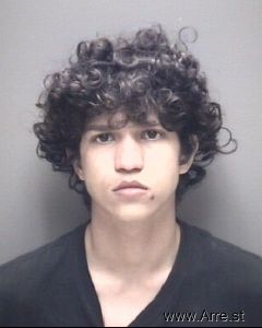 Arjang Mashie Arrest Mugshot