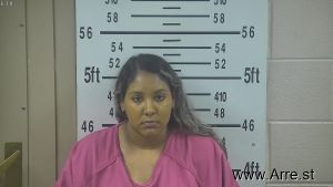 Bianca Gonzalez Arrest