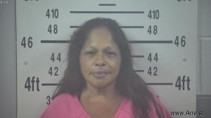 Brenda Navarro Arrest Mugshot