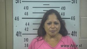 Brenda Navarro Arrest Mugshot