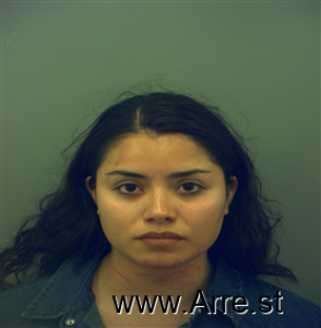 Berenice Sanchez Arrest Mugshot