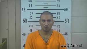 Carlos Rodriguez Jr Arrest