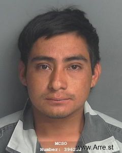 Cesar Hernandez Arrest