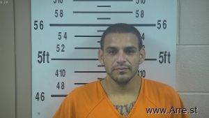 David Trevino Jr Arrest Mugshot