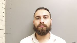 Daniel Landin Arrest