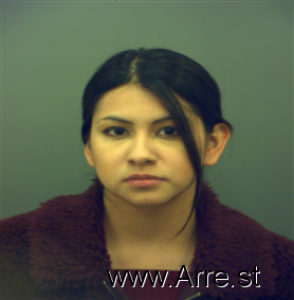 Diana Montano Arrest Mugshot