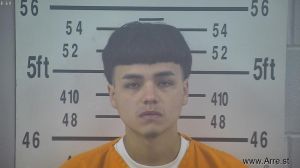 Eli Delagarza Arrest