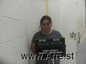 Elvira Herrera Arrest Mugshot