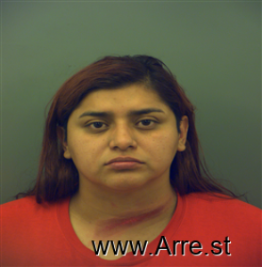 Elisa Mendez Arrest Mugshot