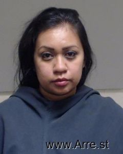 Erika Sanchez Arrest Mugshot