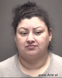 Erika Soriano Mejia Arrest Mugshot