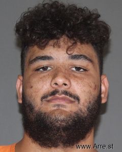 Ethan Stephens Arrest Mugshot