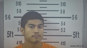 Francisco Tijerina  Arrest Mugshot