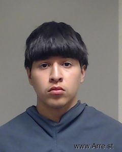 Favian Navarro Arrest