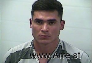 Fernando Silva Colmenero Arrest Mugshot