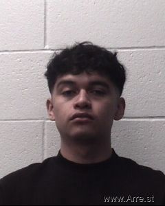 Guadalupe Maldonado Sanchez Arrest