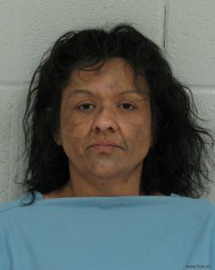 Guadalupe Seelye Arrest Mugshot