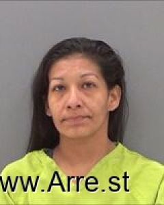 Ixchel Santa Ana Arrest