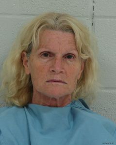 Janet Higgins Arrest Mugshot