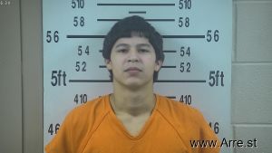 London Perez Arrest Mugshot