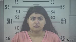 Lydia Pena Arrest Mugshot