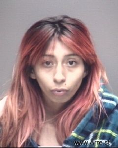 Laura Castillo Arrest Mugshot