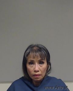Lily Nguyen Arrest Mugshot