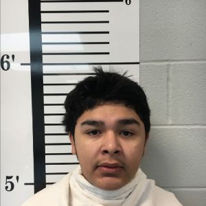 Luis Ramirez Arrest Mugshot