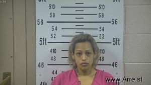 Marisela Flores Arrest Mugshot