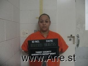 Monica Mireles Arrest Mugshot