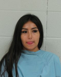 Mariel Martinez Arrest Mugshot