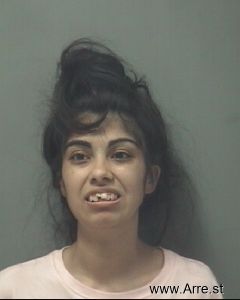 Marisol Rodriguez Arrest